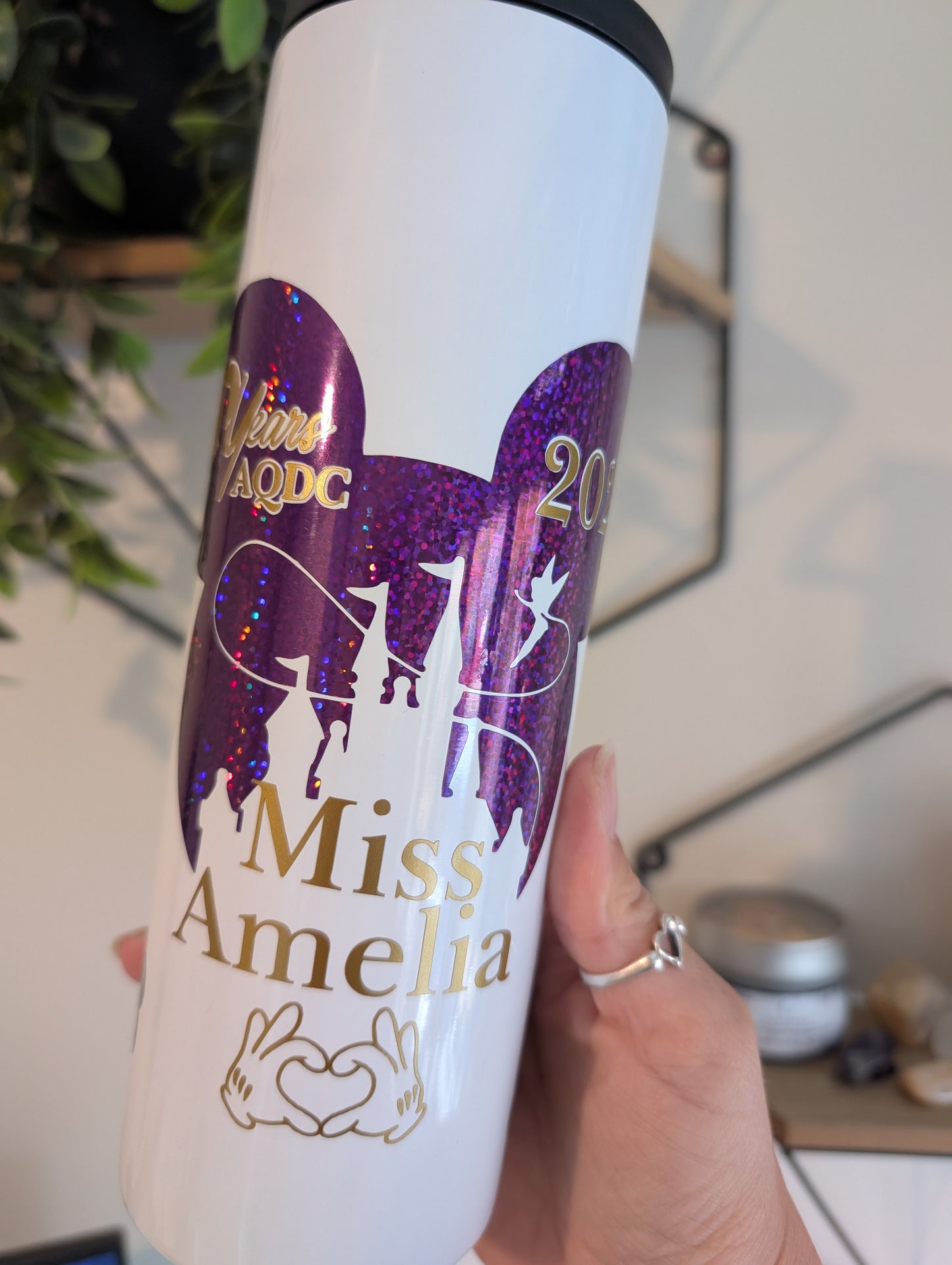 AQDC Disney Water Bottle